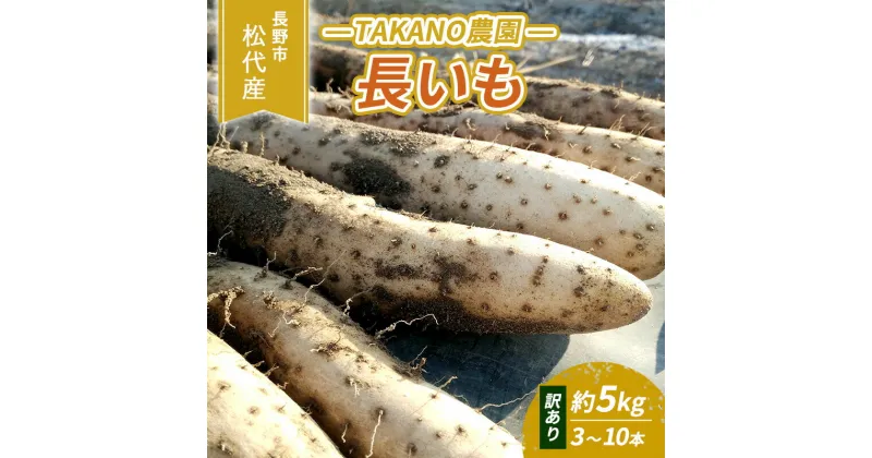 【ふるさと納税】先行予約 長野市松代産 TAKANO農園　長いも 約5kg（訳あり）【3～10本】　 野菜 根菜 長野県産 ネバネバ シャキシャキ とろろご飯 具材 食材 国産 　お届け：2024年11月下旬～2025年3月上旬