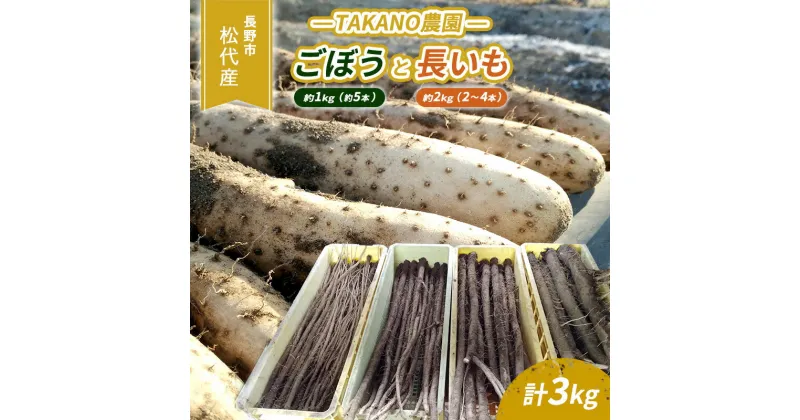 【ふるさと納税】先行予約 長野市松代産 TAKANO農園　ごぼう（約1kg）【約5本】と長いも（約2kg）【2～4本】計3kg　 野菜 根菜 長野県産 ネバネバ シャキシャキ とろろご飯 具材 食材 国産 　お届け：2024年11月下旬～12月下旬