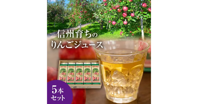 【ふるさと納税】信州育ちのりんごジュース 5本詰　 果実飲料 ジュース 飲料類 飲み物 フルーツジュース アップルジュース 長野市産りんご りんご100％ ストレートジュース コク