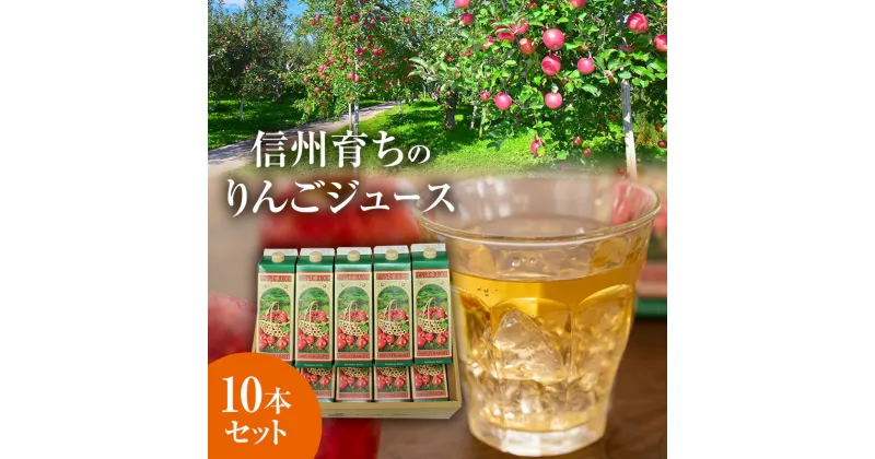 【ふるさと納税】信州育ちのりんごジュース 10本詰　 果実飲料 ジュース 飲料類 飲み物 フルーツジュース アップルジュース 長野市産りんご りんご100％ ストレートジュース コク