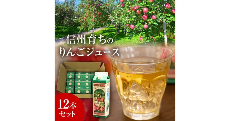 【ふるさと納税】信州育ちのりんごジュース 12本詰　 果実飲料 ジュース 飲料類 飲み物 フルーツジュース アップルジュース 長野市産りんご りんご100％ ストレートジュース コク