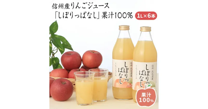 【ふるさと納税】信州産 りんごジュース 「しぼりっぱなし」 果汁100％ (1L×6本)　 果実飲料 ジュース 飲料類 飲み物 フルーツジュース アップルジュース 後味すっきり ストレートジュース