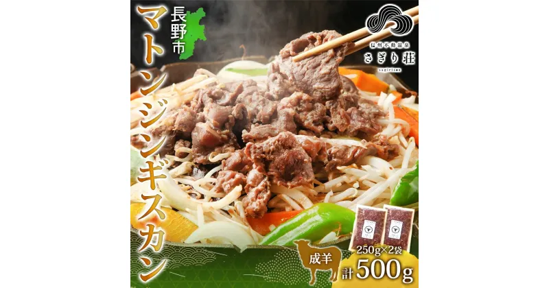 【ふるさと納税】長野県 不動温泉 さぎり荘 謹製 マトンジンギスカン 250g×2袋 計1kg 羊肉 マトン 味付き 肉 お肉 ジンギスカン 焼肉 BBQ 冷凍 小分け キャンプ 羊 おかず ストック お取り寄せ グルメ 人気 産地直送 信州新町 送料無料 長野　長野市