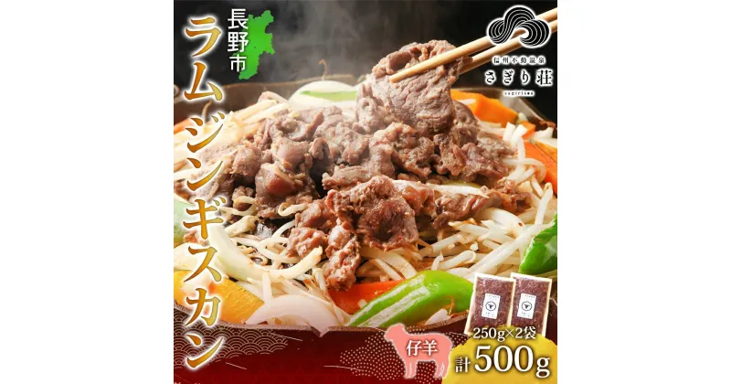 【ふるさと納税】長野県 不動温泉 さぎり荘 謹製 ラムジンギスカン 250g×2袋 計500g 羊肉 ラム 味付き 肉 お肉 ジンギスカン 焼肉 BBQ 冷凍 小分け キャンプ 羊 おかず ストック お取り寄せ グルメ 人気 産地直送 信州新町 送料無料 長野　長野市