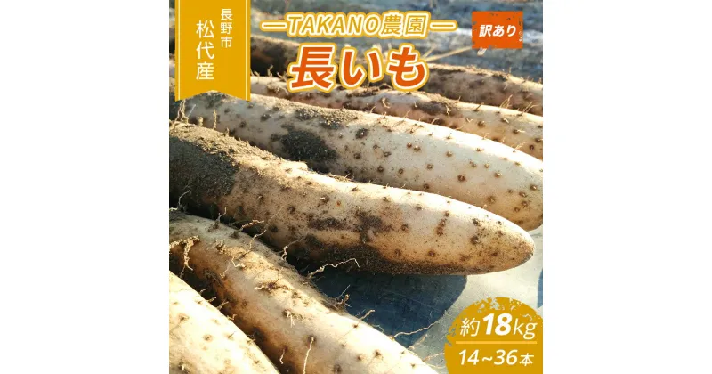 【ふるさと納税】先行予約 長野市松代産 TAKANO農園　長いも 約18kg（訳あり）【14～36本】長芋　ながいも　お届け：2024年11月下旬～2025年3月上旬