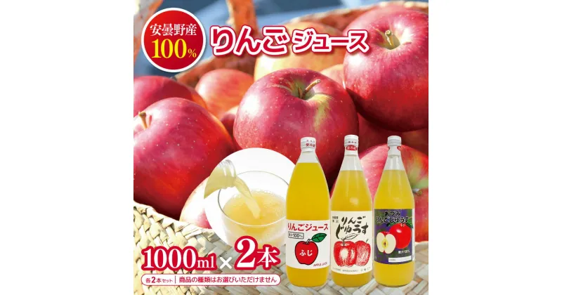 【ふるさと納税】信州安曇野 りんごジュース　(1000ml × 2本)│信州 松本市 りんご リンゴ 林檎 ジュース 100％ りんごジュース