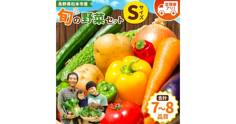 【ふるさと納税】子育て農家の野菜セット（Sサイズ）農薬・化学肥料不使用 ｜ ふるさと納税 野菜 セット おまかせ 長野県 松本市産 松本市 定期便 旬の野菜 農薬不使用 無農薬 化学肥料不使用