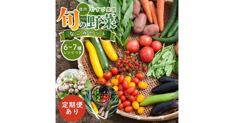 【ふるさと納税】野菜 セット おまかせ 長野県松本市産 旬 野菜（6～7種） むすび野菜｜ 農薬不使用 化学肥料不使用 植物性肥料 無農薬 旬の野菜 野菜 やさい 6～7種 長野県 松本市 レシピ付き