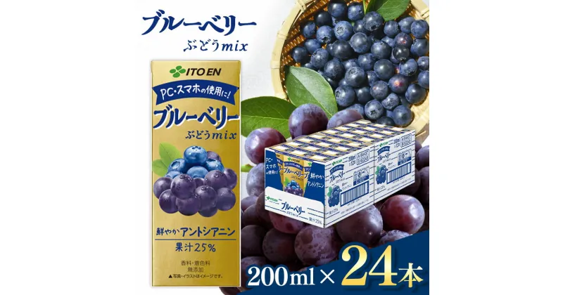 【ふるさと納税】ブルーベリー ミックス ジュース 200ml 24本 伊藤園 ぶどう ミックス | 果汁 25％ 香料・着色料 無添加 紙パック 環境に野菜しい 大容量 | 飲み物 ドリンク ジュース 健康 美容 長野県 松本市