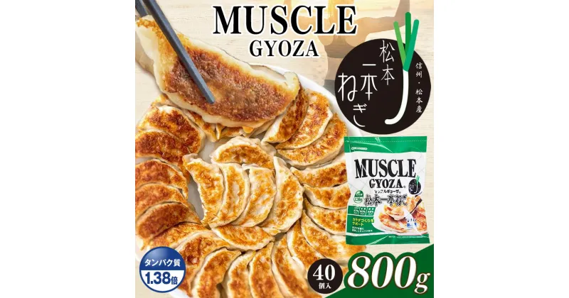 【ふるさと納税】選べる　 MUSCLE GYOZA ～ マッスルギョーザ ～ 松本 一本ねぎ｜ふるさと納税 餃子 ギョーザ ねぎ ネギ タンパク質 低糖質 マッスルギョーザ 長野県 松本市