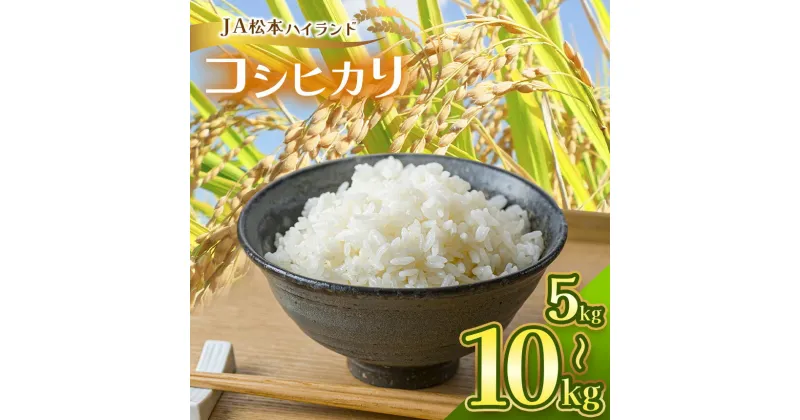 【ふるさと納税】コシヒカリ5kg│信州 松本市 米 お米 コシヒカリ JA松本ハイランド 白米