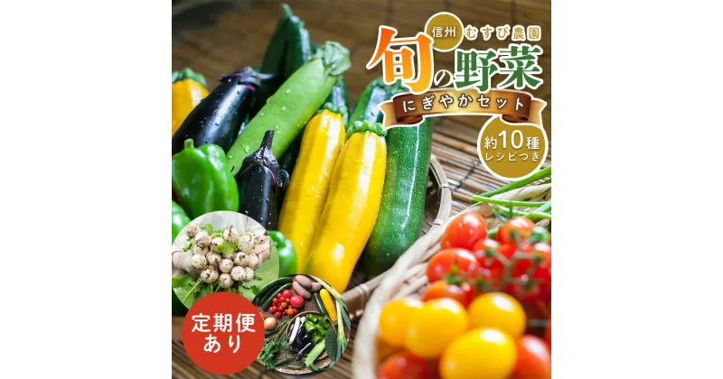 【ふるさと納税】信州・むすび野菜　にぎやかセット 旬 野菜を約10種お届け 定期便3回 | 農薬不使用 化学肥料不使用 植物性肥料 無農薬 旬の野菜 野菜 約10種 やさい レシピ付き 長野県 松本市