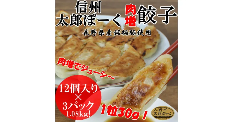 【ふるさと納税】銘柄ポークコンテスト優良賞受賞！【信州太郎ぽーく使用】肉増太郎ぽーく餃子(12個入)360g×3パック│信州 松本市 信州太郎ぽーく 銘柄ポークコンテスト 餃子 冷凍餃子