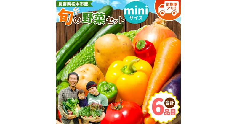 【ふるさと納税】子育て農家の野菜セット（miniサイズ）農薬・化学肥料不使用 ｜ ふるさと納税 野菜 セット おまかせ 長野県 松本市産 松本市 定期便 旬の野菜 農薬不使用 無農薬 化学肥料不使用