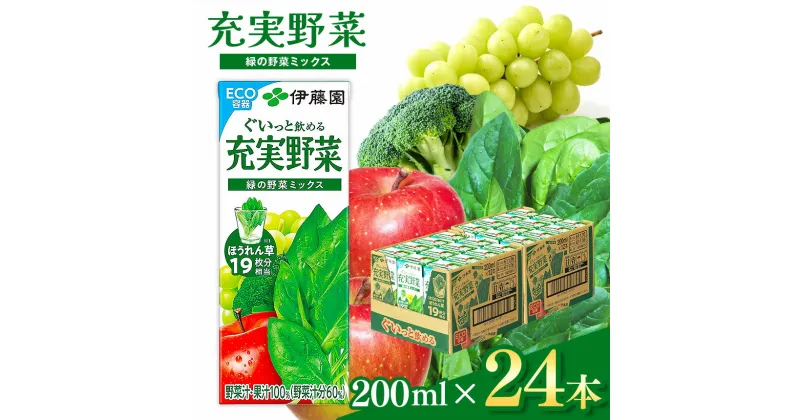 【ふるさと納税】 野菜汁 果汁 100 ％ ジュース 充実野菜緑 の 野菜 ミックス 200ml 24本 紙パックk | 伊藤園 エコ容器 ほうれん草 ミックス 飲料 ドリンク 飲み物 野菜 果物 フルーツ ベジタブル　野菜ジュース