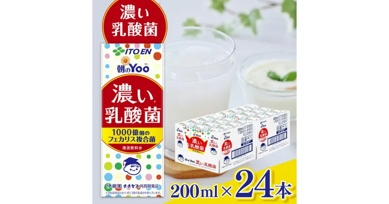 【ふるさと納税】紙 朝 のYoo 濃い 乳酸菌 200ml × 24本