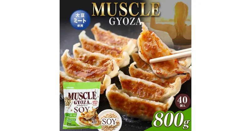 【ふるさと納税】選べる　MUSCLE GYOZA SOY ～ マッスルギョーザ ソイ ～｜ふるさと納税 餃子 ギョーザ低糖質 マッスルギョーザ 長野県 松本市