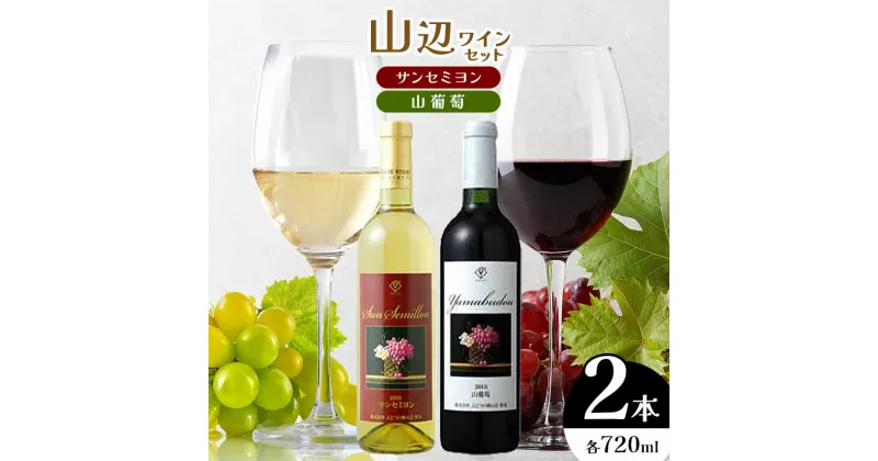 【ふるさと納税】山辺ワインセット720ml×2本（サンセミヨン、山葡萄）｜ワイン 飲み比べ お酒 辛口 セット 信州 赤ワイン 白ワイン ぶどう 長野県 松本市 希少価値 わいん 酒 おさけ さけ サンセミヨン 山葡萄 やまぶどう