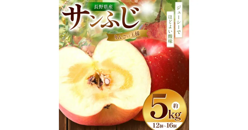 【ふるさと納税】【りんごの王様を農園から】サンふじ 5kg | ふるさと納税 果物 くだもの フルーツ サンふじ リンゴ りんご 林檎 信州産 長野県 松本市