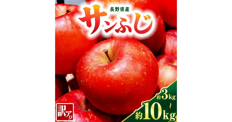 【ふるさと納税】 もぎたて 旬 信州産 訳あり サンふじ 【 選べる 】3kg~10kg ( 6 ～ 50玉 ) | 農家直送 果物 くだもの フルーツ サンふじ リンゴ りんご 林檎 アップル 信州産 松本市 訳あり 生産量 No.2 長野県 | 家庭用 大小混合 果実 農家応援 人気 大容量