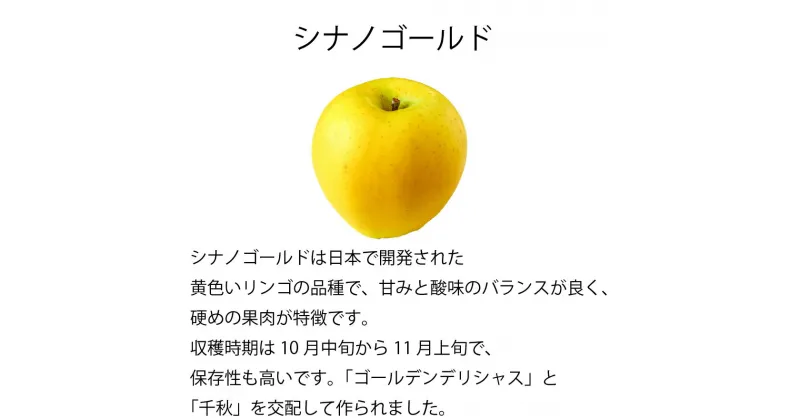 【ふるさと納税】訳アリ　シナノゴールド　3kg～5kg | ふるさと納税 長野県 松本市 林檎 りんご リンゴ 訳あり シナノゴールド 信州産 季節限定 大容量