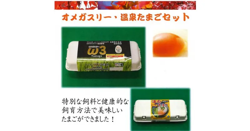 【 ふるさと納税 】オメガスリーたまご20個、平飼い温泉たまご10個詰め合わせ（合計3パック、30個入り）【 定期便 】 2回 or 4回 or 6回 or 12回 ｜ ふるさと納税 信州 鶏 卵 たまご 温泉卵 長野県 松本市 美味しい