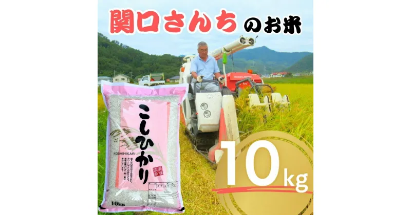 【ふるさと納税】米 令和6年 関口さんちのお米 コシヒカリ 10kg お米 こめ コメ 精米 白米 ご飯 こしひかり 長野 信州　 上田市