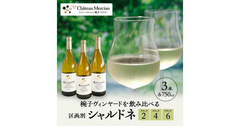 【ふるさと納税】限定 ワイン 椀子ヴィンヤードを飲み比べるシャルドネ区画別 3本 セット 椀子シャルドネ 750ml シャルドネ 白ワイン お酒 酒 アルコール 飲み比べセット ギフト 贈り物 プレゼント　 上田市 　お届け：30日以内に発送いたします