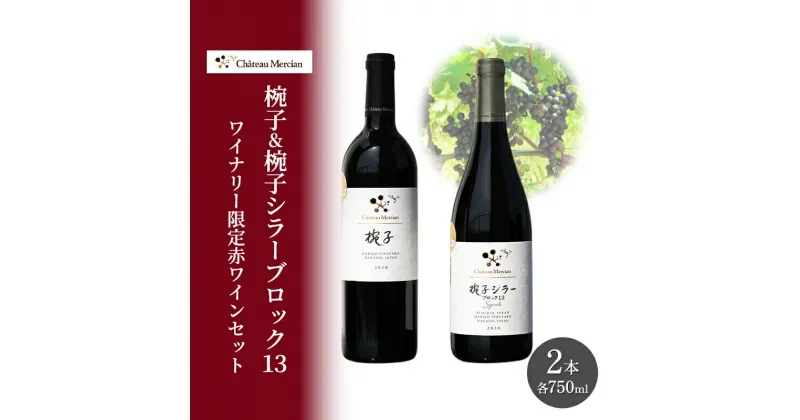 【ふるさと納税】限定 赤ワイン 飲み比べセット 750ml 2本 セット 椀子 椀子シラー ギフト シャトーメルシャン椀子ワイナリー シャトーメルシャン ワイン お酒 酒 アルコール 家飲み 宅飲み お祝い 記念日 飲み比べ 贈り物 プレゼント 信州 長野 長野県 上田市