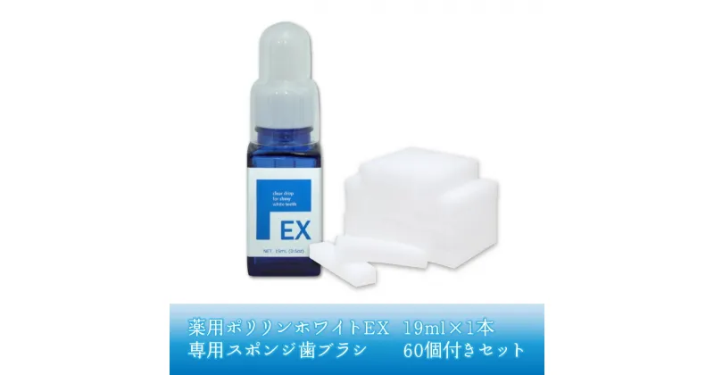 【ふるさと納税】薬用ポリリンホワイトEX19ml×1本 専用スポンジ歯ブラシ60個付きセット | はみがき 歯磨き 歯磨き粉 高濃度分割ポリリン酸配合 ステイン除去 コーティング 歯を白く 着色防止 歯の美白美容液 研磨剤不使用