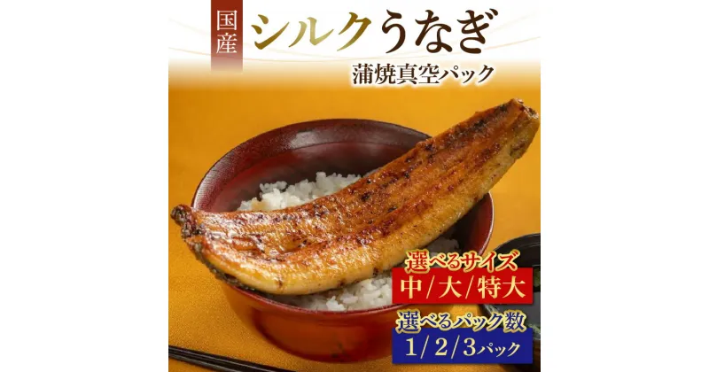 【ふるさと納税】シルクうなぎ蒲焼真空パック | 冷凍 配送 うなぎ 国産 3尾 2尾 1尾 人気 タレ付き 山椒 真空パック ギフト 化粧箱 贈り物 のし対応 鰻 ウナギ unagi ブランド 丑の日 蒲焼き 蒲焼 かば焼き 個包装 小分け 冷凍 クール便 送料無料 やなのうなぎ 観光荘