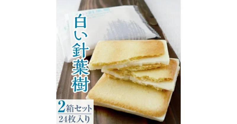 【ふるさと納税】「白い針葉樹」 24枚入り×2箱セット【1012823】