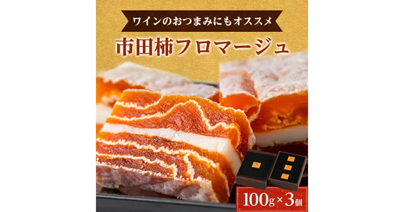 【ふるさと納税】【 ワイン の おつまみ にも オススメ 】 市田柿 フロマージュ 100g × 3個 _ 柿 干し柿 干しがき 果物 フルーツ 干柿 おやつ お菓子 【配送不可地域：離島】【1033714】