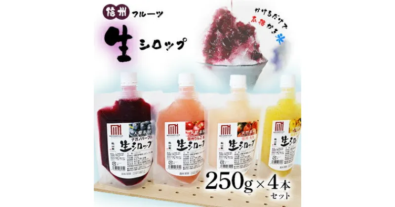 【ふるさと納税】信州フルーツ 生シロップ (かき氷用) 250g×4本セット【配送不可地域：離島】【1118102】