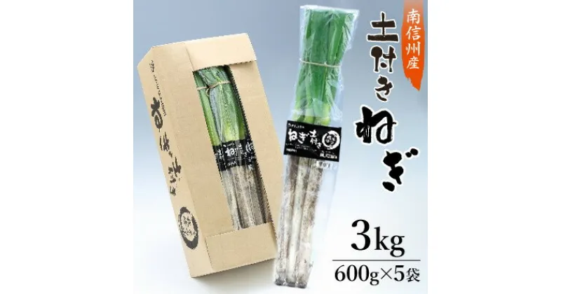 【ふるさと納税】【南信州産】土付きねぎ　3kg(600g×5袋)【1227930】