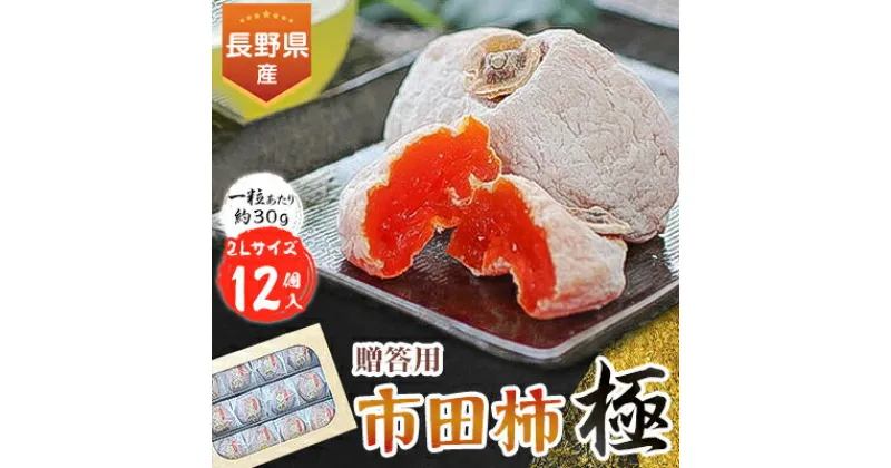 【ふるさと納税】信州の特産品「市田柿・極」 贈答用 2Lサイズ(12個入)〈2025年1月上旬～2月下旬発送〉_ 柿 干し柿 干しがき 果物 フルーツ 干柿 おやつ お菓子 【配送不可地域：離島】【1078103】