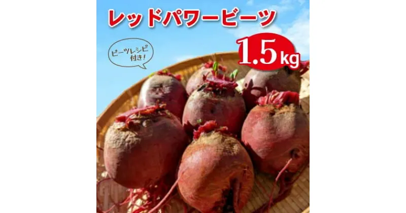 【ふるさと納税】レッドパワービーツ　1.5kg_ 野菜 七久里農園 農家直送 レシピ付き 人気 送料無料【1374676】