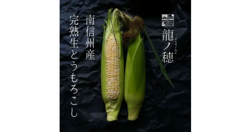 【ふるさと納税】【2025年分先行予約】南信州産 完熟生とうもろこし 約3kg(6本～8本)【配送不可地域：離島】【1511502】