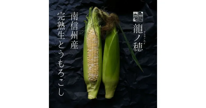 【ふるさと納税】【2025年分先行予約】南信州産 完熟生とうもろこし 約5kg(10本～14本)【配送不可地域：離島】【1511503】