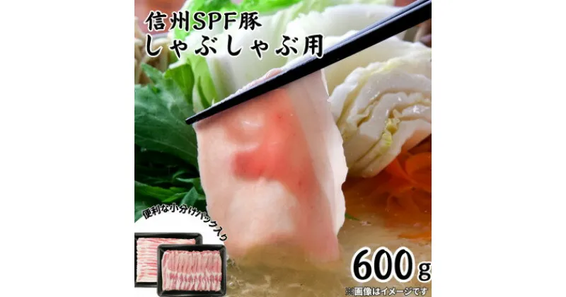 【ふるさと納税】信州SPF豚　しゃぶしゃぶ用　600g(ロース300g、バラ300g)【配送不可地域：離島】【1556576】