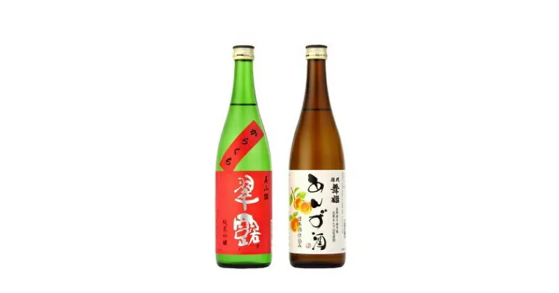 【ふるさと納税】舞姫・翠露　こだわり信州セット／舞姫　日本酒　果実酒　720ml　2本　信州　諏訪【30-15】