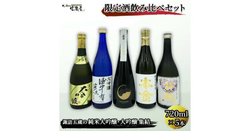 【ふるさと納税】【諏訪市五蔵の日本酒】 限定酒飲み比べセット （720ml×5本） 長野県 地酒 純米大吟醸 大吟醸 ギフト お祝い 【10-16】