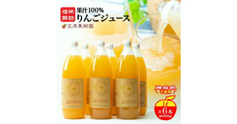 【ふるさと納税】【果汁100%】 信州産りんごジュース （1L×6本） 長野県産 産地直送 ギフト 【80-01】