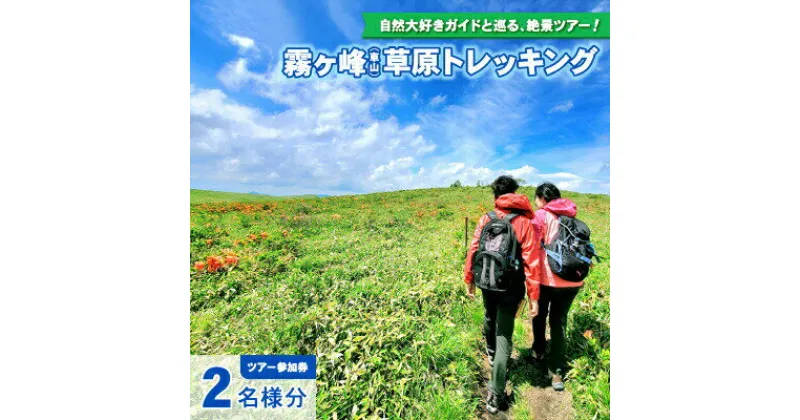 【ふるさと納税】【霧ヶ峰(車山)草原トレッキング】〜自然を感じて、五感を使う　のんびり山歩き〜ツアー参加券2名様分 3名様分／八ヶ岳登山企画 トレッキング 体験型 アウトドア 子供 チケット 観光 信州 諏訪【88-07】【88-08】