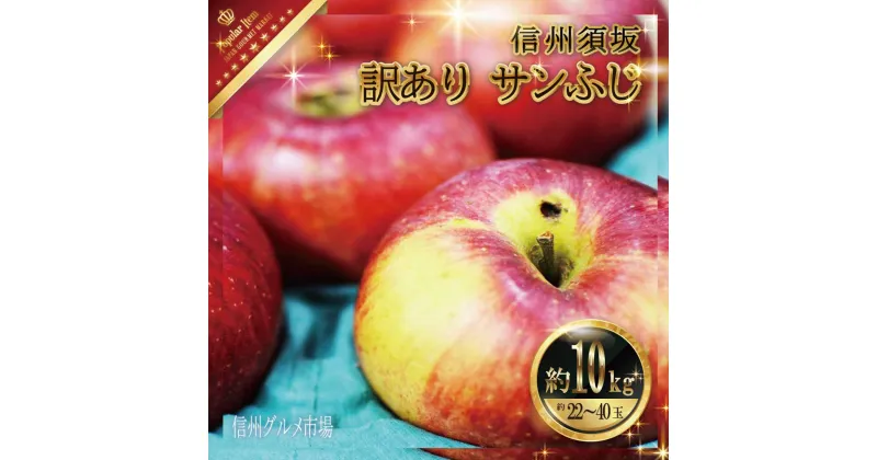 【ふるさと納税】訳あり サンふじ約10kg（約22～40玉）家庭用《信州グルメ市場》■2024年～2025年発送■※11月中旬頃～1月下旬頃まで順次発送予定 果物 フルーツ 林檎 りんご リンゴ 訳あり 家庭用