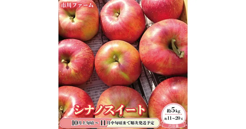 【ふるさと納税】ジューシーかつ爽やかな甘さ！人気のシナノスイート約5kg（約11～20玉）《市川ファーム》■2024年発送■※10月上旬頃～11月中旬頃まで順次発送予定 フルーツ 果物 りんご リンゴ シナノスイート