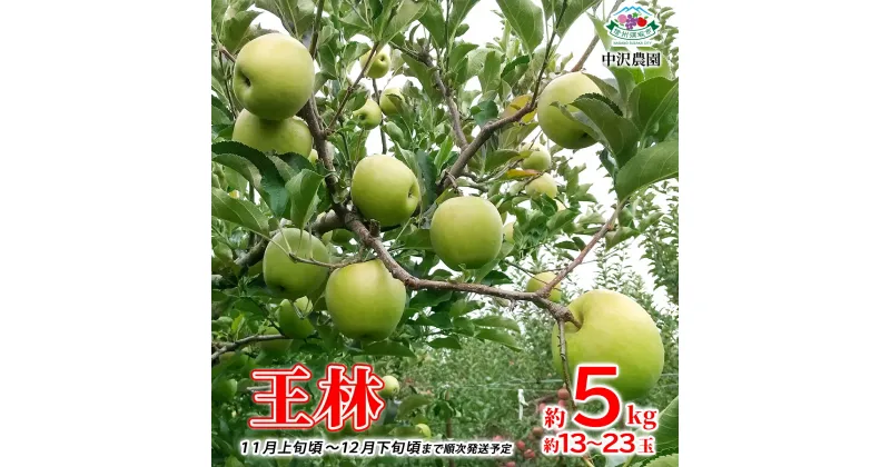 【ふるさと納税】王林 約5kg (約13～23玉) 《中沢農園》■2024年発送■※11月上旬頃～12月下旬頃まで順次発送予定 フルーツ 果物 りんご リンゴ 林檎