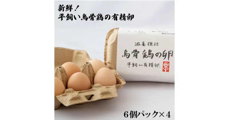 【ふるさと納税】新鮮！平飼い烏骨鶏の有精卵 （6個パック×4）《タナカファーム》 鶏卵 烏骨鶏 うこっけい