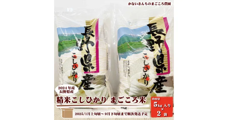 【ふるさと納税】2024年産　長野県産精米こしひかり　まごころ米10kg（5kg入り×2袋）《かないさんちのまごころ農園》■2025年発送■※1月上旬頃～9月下旬頃まで順次発送予定