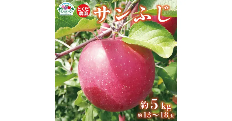 【ふるさと納税】サンふじ 約5kg (約13～18玉) 《とくだ農園》■2024年発送■※11月下旬頃～12月下旬頃まで順次発送予定 果物 フルーツ りんご サンふじ